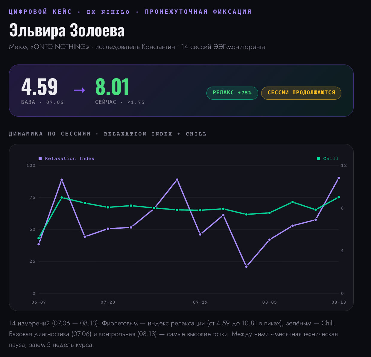 Цифровой кейс Эльвиры Золоевой