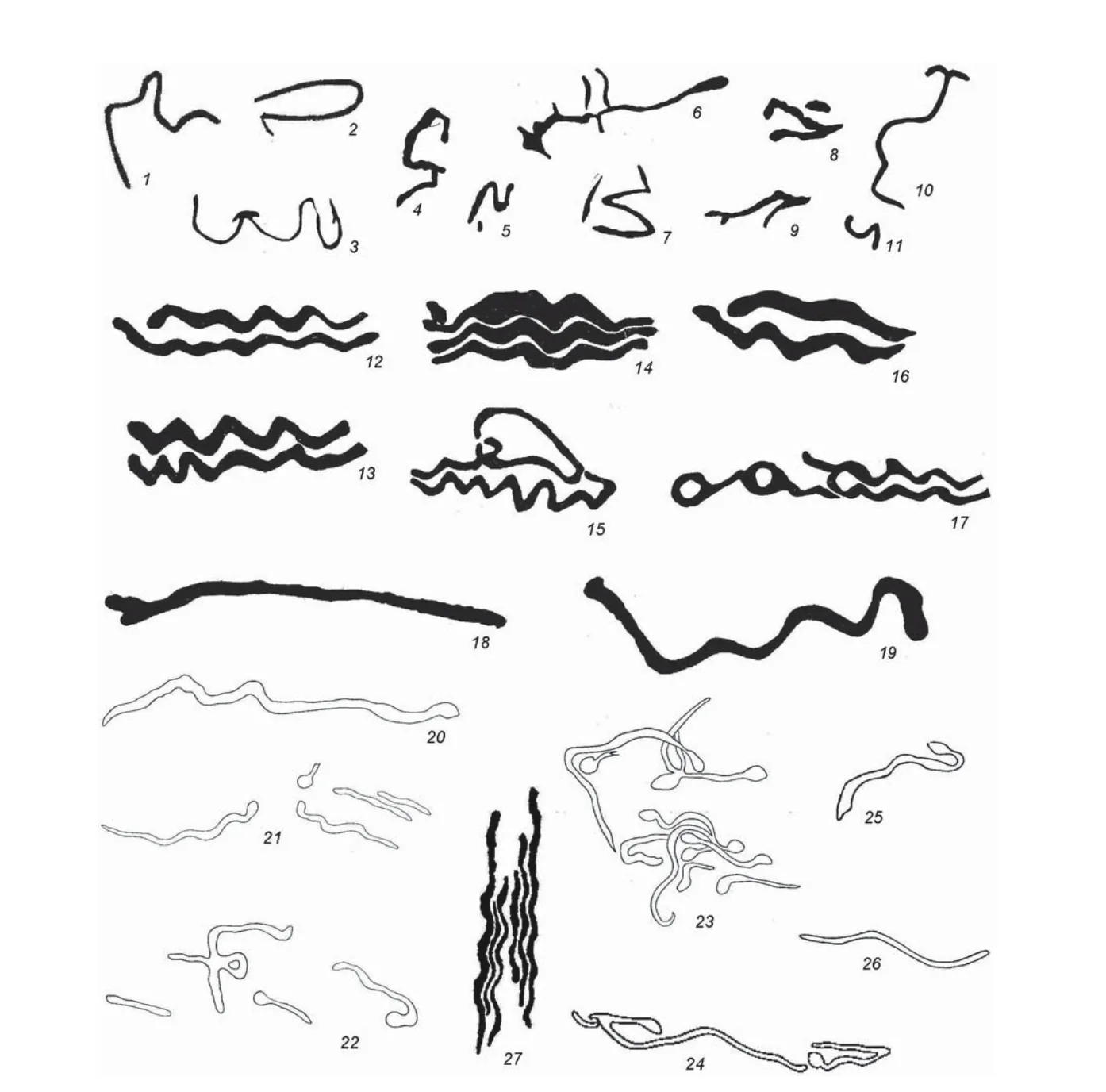 Primi disegni dell'uomo primitivo