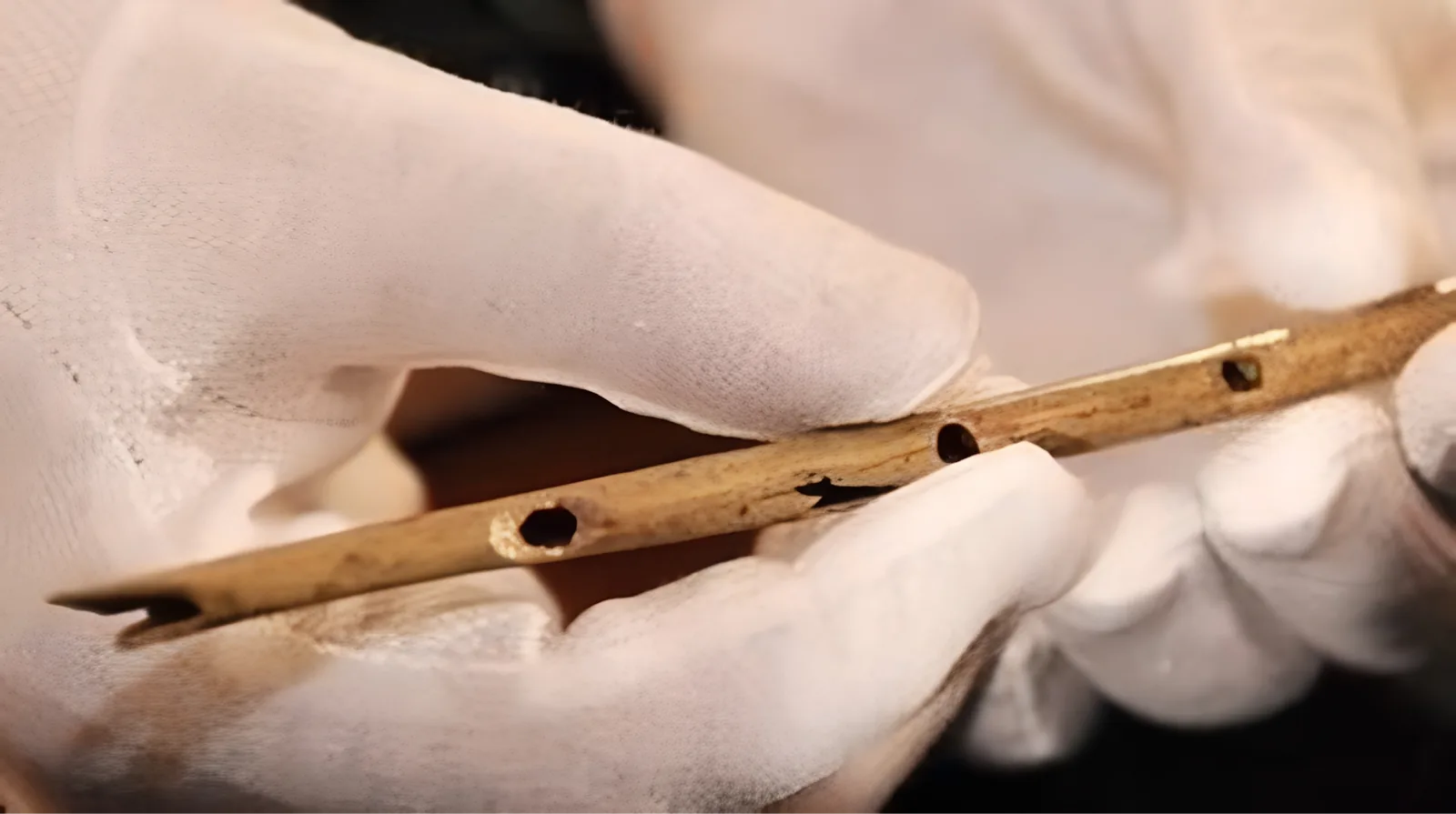 I Neandertal come puro hardware biologico