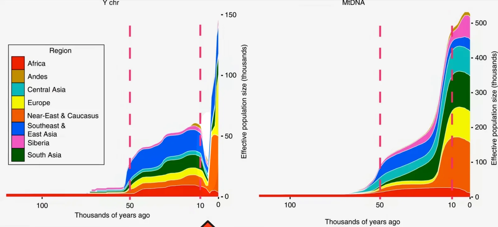 La grande purga delle linee Y 7000 anni fa